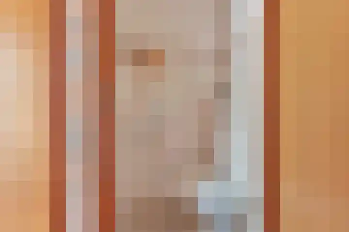 Langhieten 1 Odoorn thumbnail 15