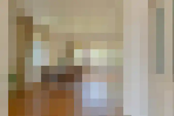 Langhieten 1 Odoorn thumbnail 16