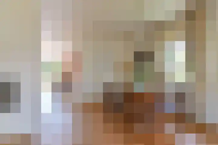 Langhieten 1 Odoorn thumbnail 23