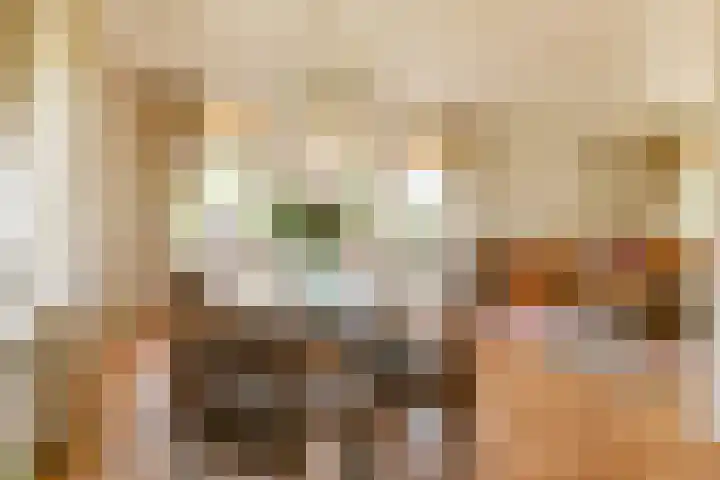 Langhieten 1 Odoorn thumbnail 25