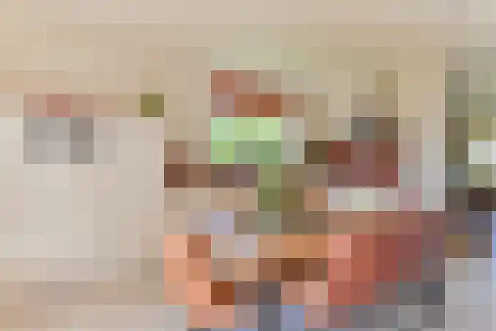 Langhieten 1 Odoorn thumbnail 30