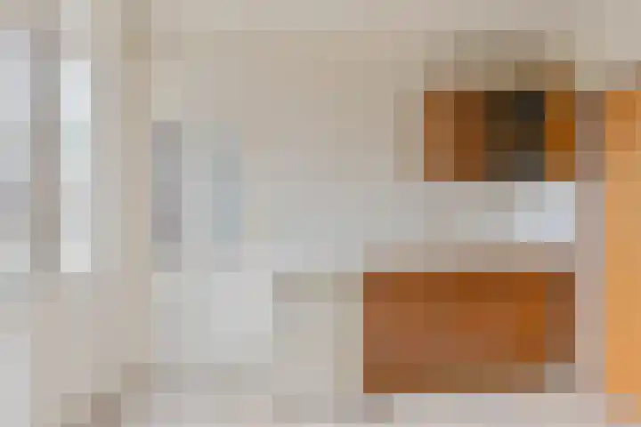 Langhieten 1 Odoorn thumbnail 34