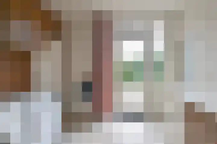 Langhieten 1 Odoorn thumbnail 35