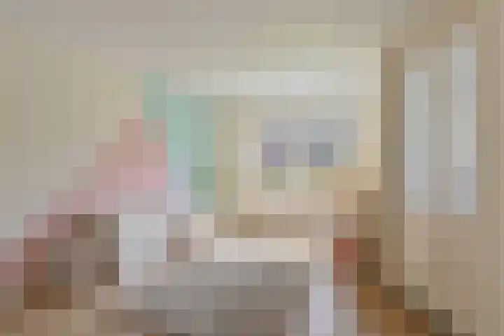 Langhieten 1 Odoorn thumbnail 38