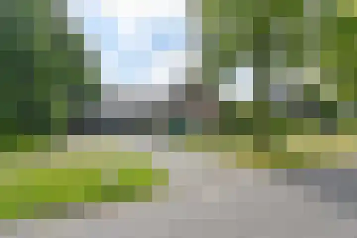 Langhieten 1 Odoorn thumbnail 4