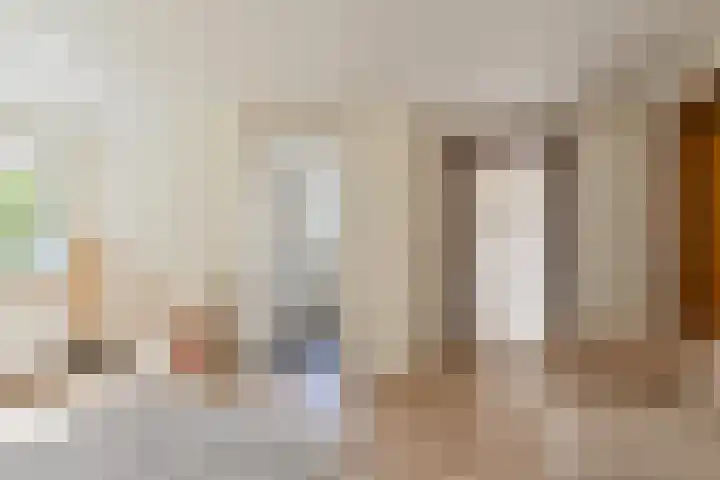 Langhieten 1 Odoorn thumbnail 40