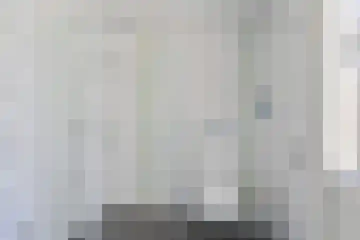 Langhieten 1 Odoorn thumbnail 43