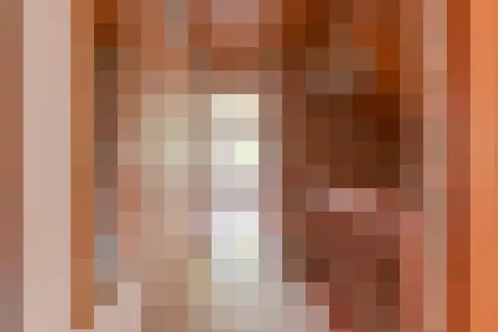 Langhieten 1 Odoorn thumbnail 45