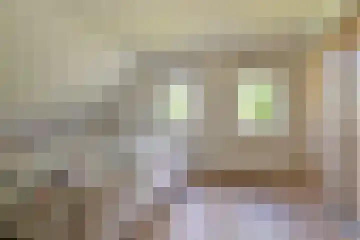 Langhieten 1 Odoorn thumbnail 46
