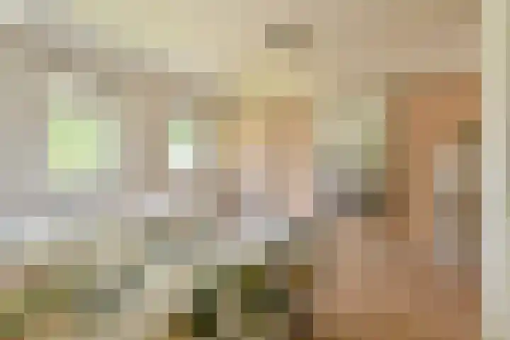 Langhieten 1 Odoorn thumbnail 48