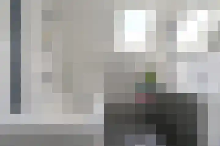 Langhieten 1 Odoorn thumbnail 51