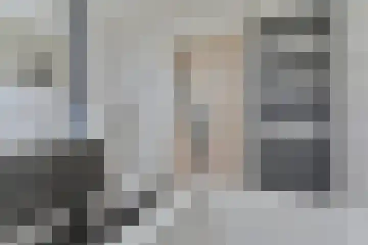 Langhieten 1 Odoorn thumbnail 56