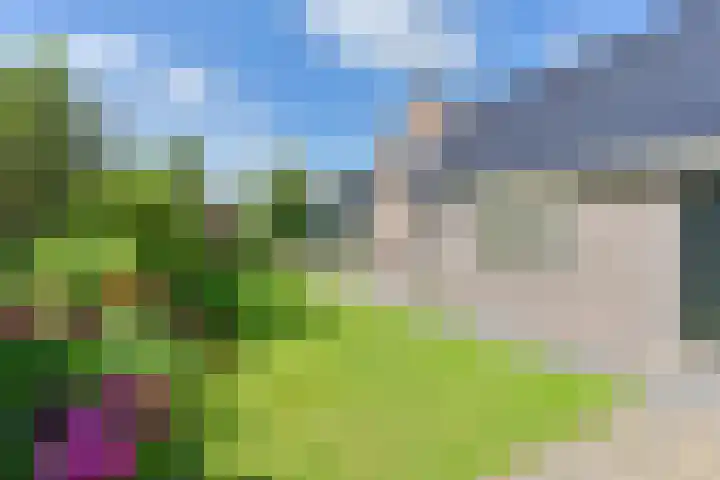 Langhieten 1 Odoorn thumbnail 57