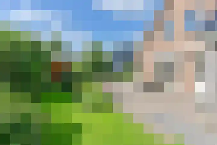 Langhieten 1 Odoorn thumbnail 58
