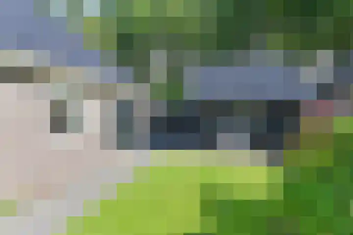 Langhieten 1 Odoorn thumbnail 60