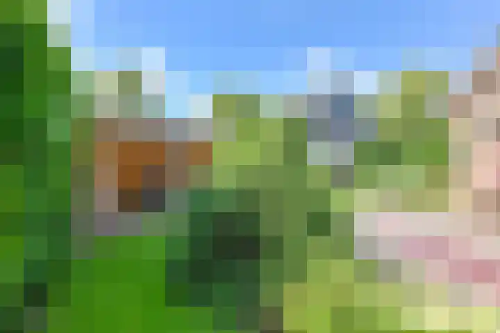 Langhieten 1 Odoorn thumbnail 61