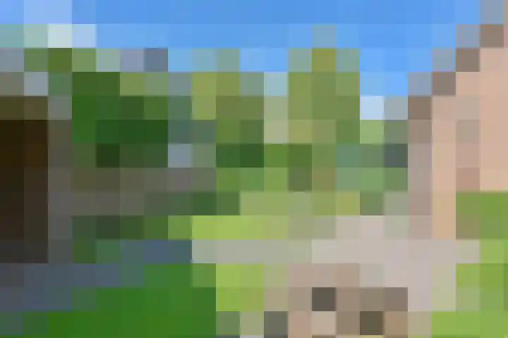 Langhieten 1 Odoorn thumbnail 62