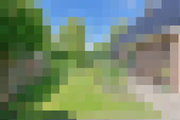 Langhieten 1 Odoorn thumbnail 63