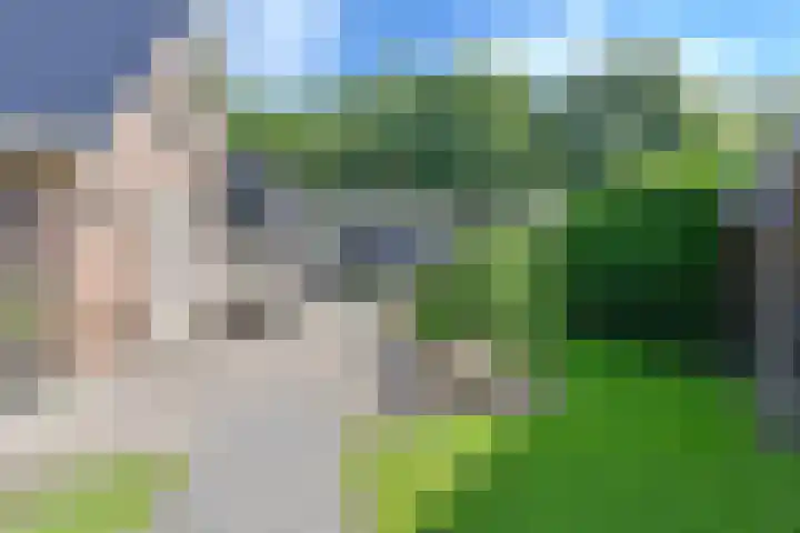 Langhieten 1 Odoorn thumbnail 65