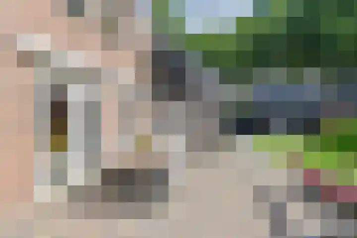Langhieten 1 Odoorn thumbnail 66