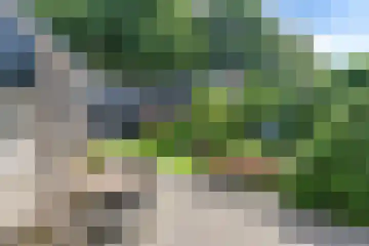 Langhieten 1 Odoorn thumbnail 67