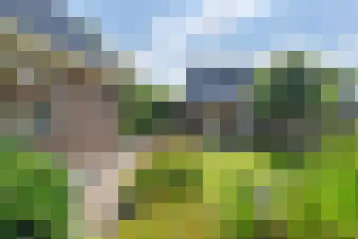 Langhieten 1 Odoorn thumbnail 68