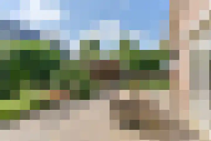 Langhieten 1 Odoorn thumbnail 69