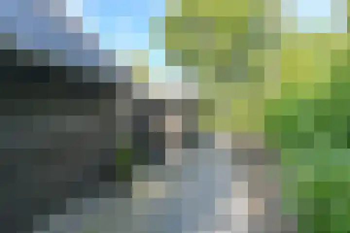 Langhieten 1 Odoorn thumbnail 70