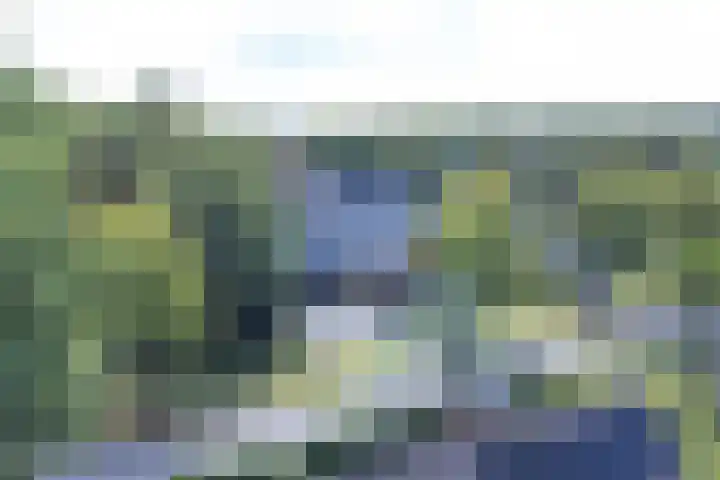Langhieten 1 Odoorn thumbnail 72
