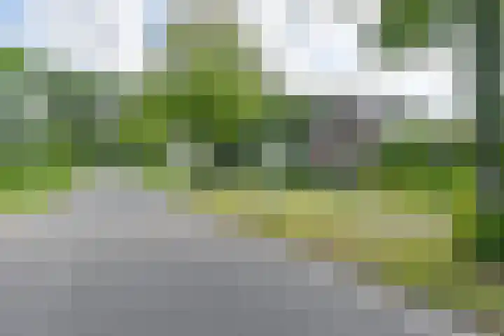 Langhieten 1 Odoorn thumbnail 73
