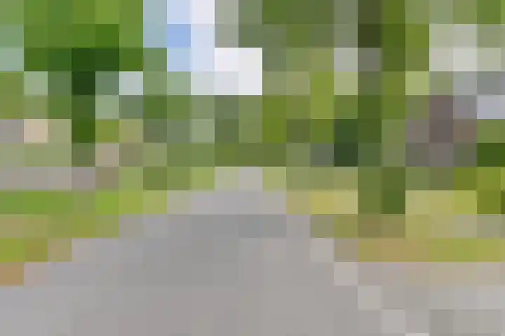 Langhieten 1 Odoorn thumbnail 74