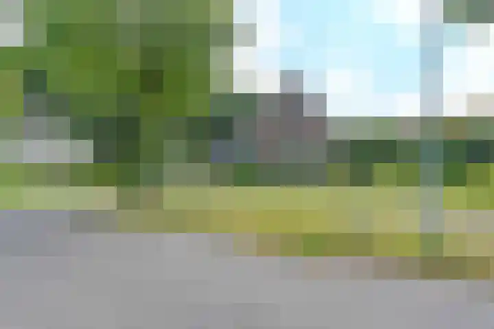 Langhieten 1 Odoorn thumbnail 75