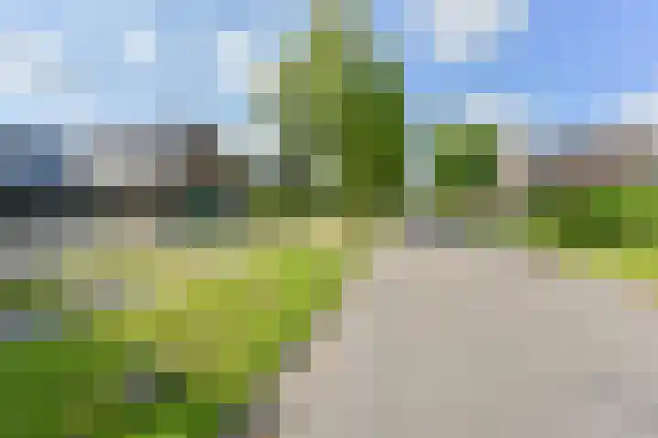 Langhieten 1 Odoorn thumbnail 76