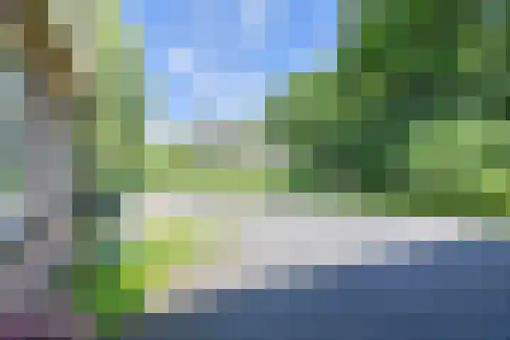 Langhieten 1 Odoorn thumbnail 77