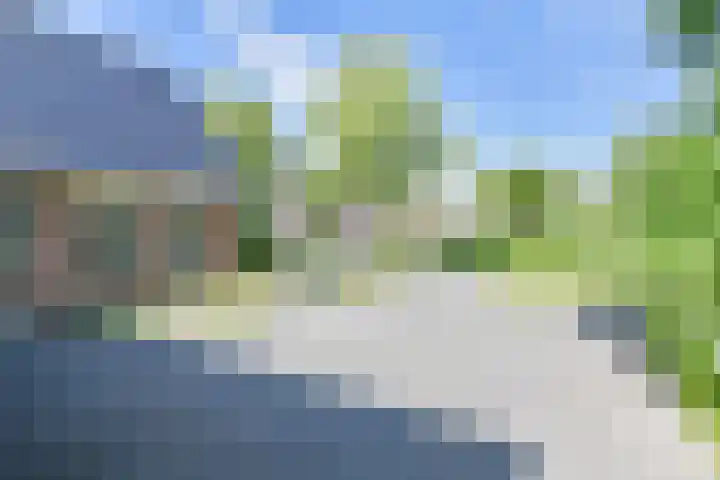 Langhieten 1 Odoorn thumbnail 78