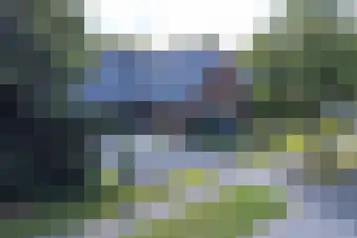 Langhieten 1 Odoorn thumbnail 79