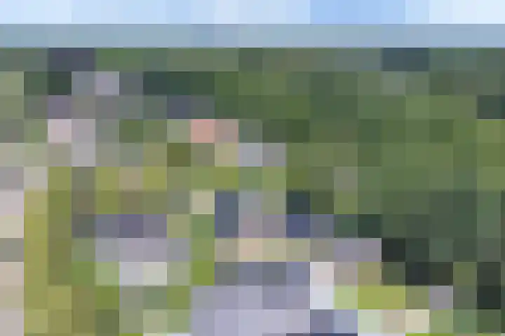 Langhieten 1 Odoorn thumbnail 80
