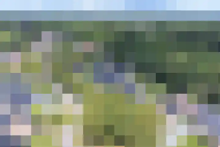 Langhieten 1 Odoorn thumbnail 81