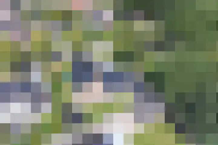 Langhieten 1 Odoorn thumbnail 82