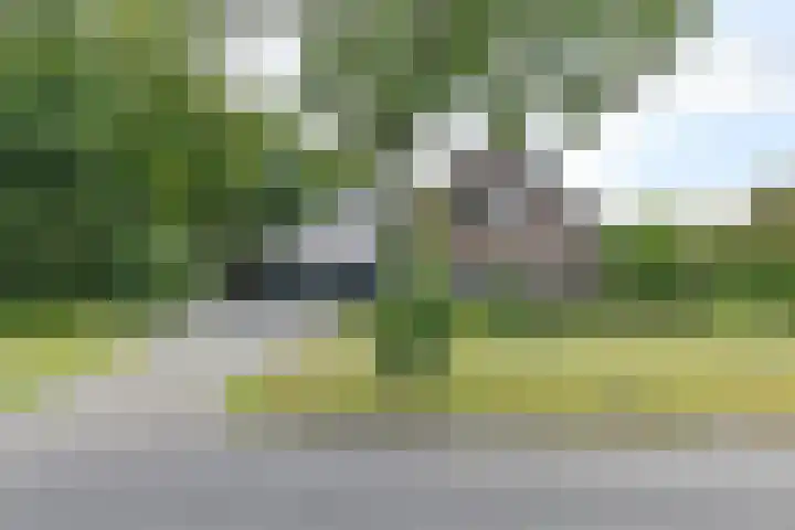 Langhieten 1 Odoorn thumbnail 84