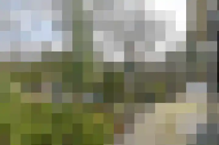 Langhieten 13 Odoorn thumbnail 59