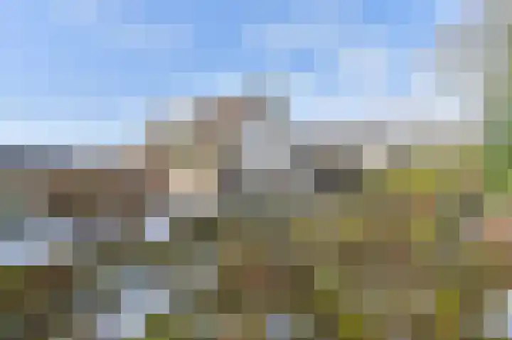 Langhieten 13 Odoorn thumbnail 61