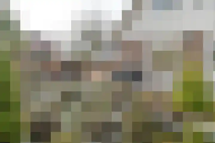 Langhieten 13 Odoorn thumbnail 62