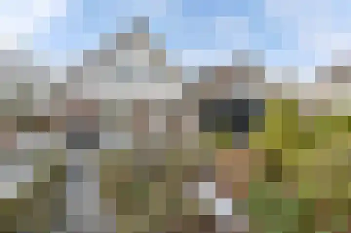 Langhieten 13 Odoorn thumbnail 63