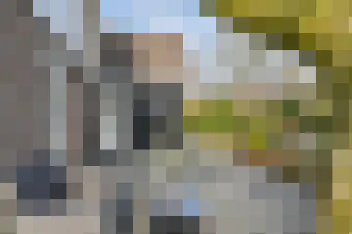 Langhieten 13 Odoorn thumbnail 64