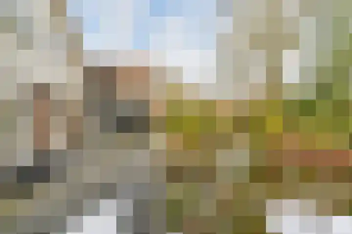 Langhieten 13 Odoorn thumbnail 65
