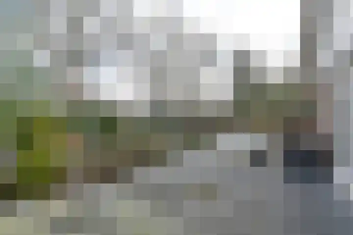 Langhieten 13 Odoorn thumbnail 66