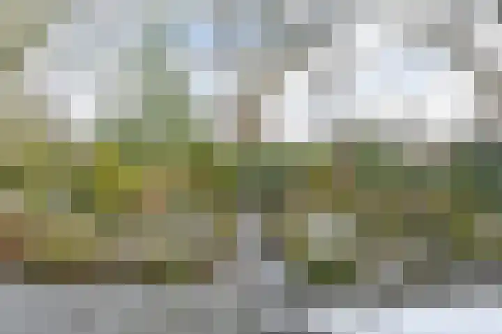 Langhieten 13 Odoorn thumbnail 67