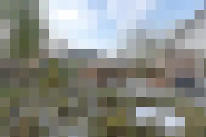 Langhieten 13 Odoorn thumbnail 68