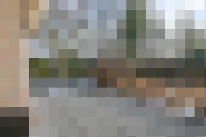 Langhieten 13 Odoorn thumbnail 73